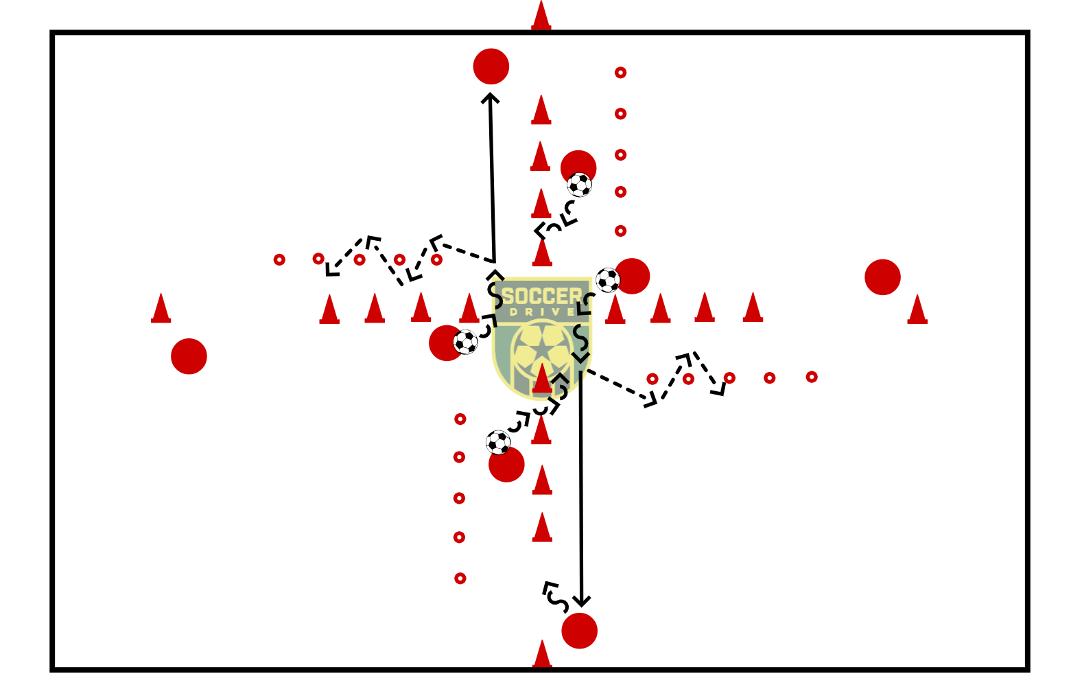 Technique/Agility Circuit          