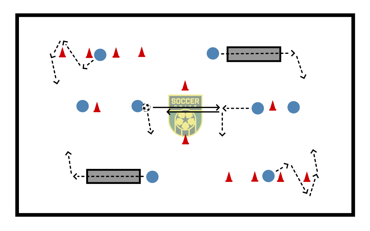 Coordination and Agility          